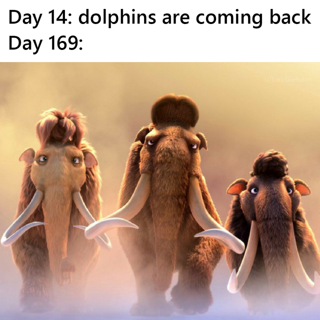 ice age movie mammoths - Day 14 dolphins are coming back Day 169