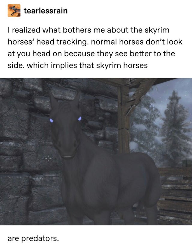 goats - tearlessrain I realized what bothers me about the skyrim horses' head tracking. normal horses don't look at you head on because they see better to the side. which implies that skyrim horses are predators.