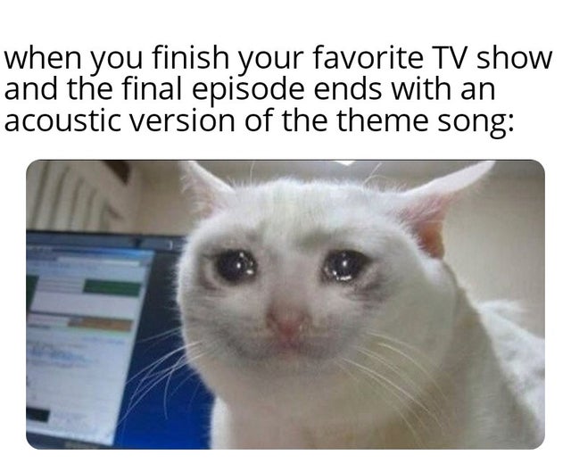 14 year old girl cat memes - when you finish your favorite Tv show and the final episode ends with an acoustic version of the theme song