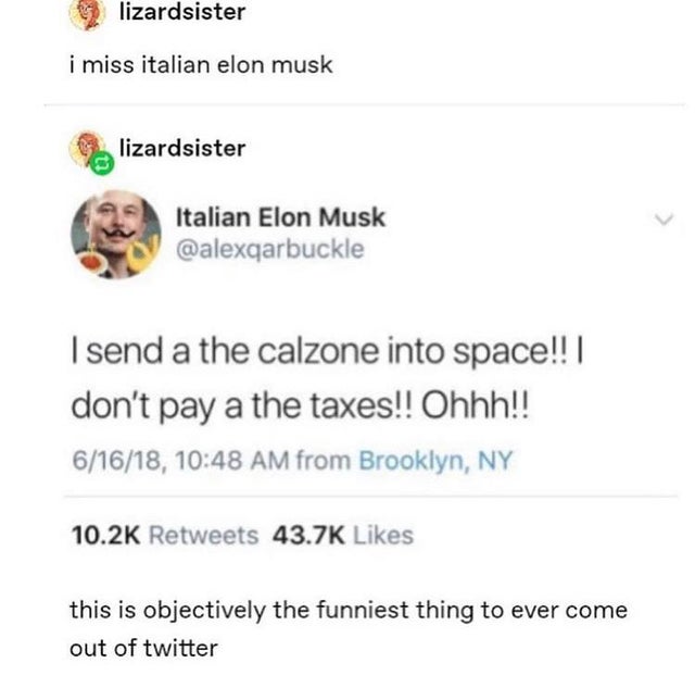 document - lizardsister i miss italian elon musk lizardsister Italian Elon Musk I send a the calzone into space!!! don't pay a the taxes!! Ohhh!! 61618, from Brooklyn, Ny this is objectively the funniest thing to ever come out of twitter