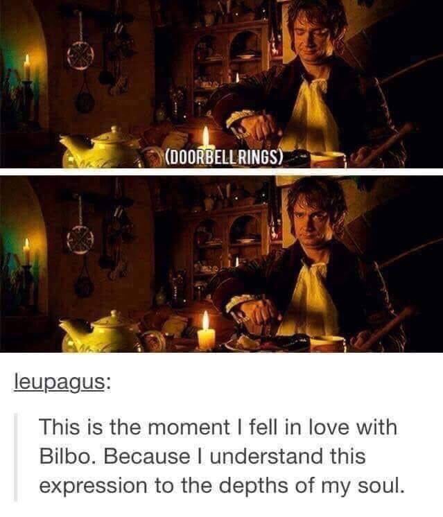 hobbit tumblr funny - Doorbell Rings - This is the moment I fell in love with Bilbo. Because I understand this expression to the depths of my soul.