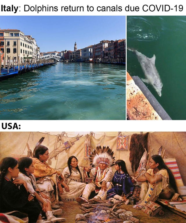 native american family art - Italy Dolphins return to canals due Covid19 Usa