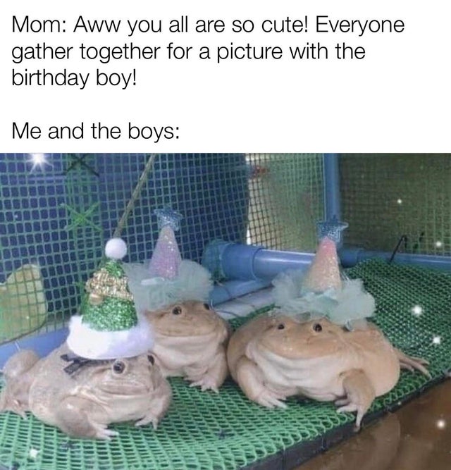 budgetts frogs party - Mom Aww you all are so cute! Everyone gather together for a picture with the birthday boy! Me and the boys Muda Mwa Titta Da