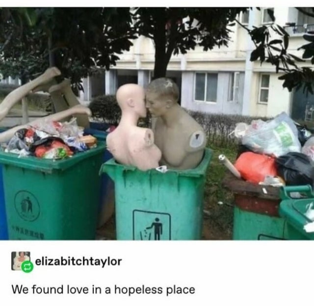 garbage love - elizabitchtaylor We found love in a hopeless place