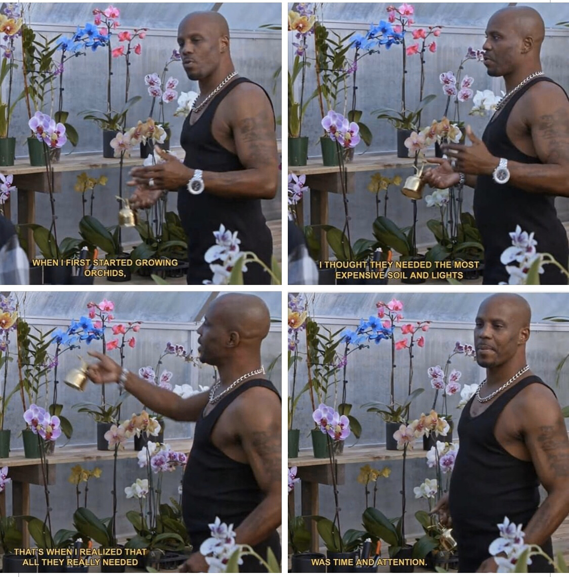muscle - When I First Started Growing Orchids. I Thought They Needed The Most Expensiveasoil And Lights Thats When Realized That All They Really Needed As Time And Attention