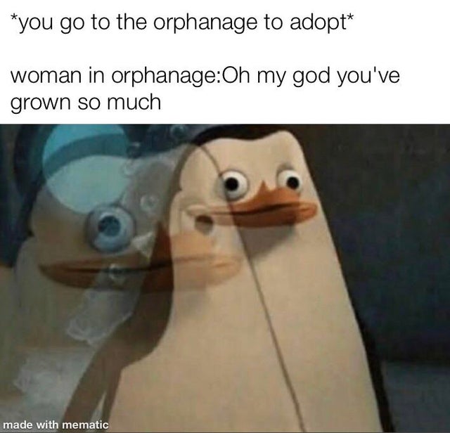 321 penguins memes - you go to the orphanage to adopt woman in orphanageOh my god you've grown so much made with mematic