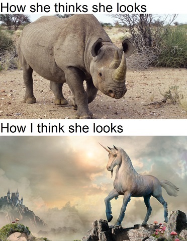 real unicorn - How she thinks she looks How I think she looks