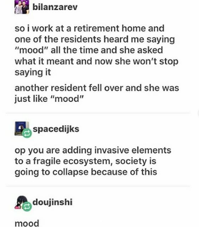 document - bilanzarev so i work at a retirement home and one of the residents heard me saying "mood" all the time and she asked what it meant and now she won't stop saying it another resident fell over and she was just "mood" spacedijks op you are adding 