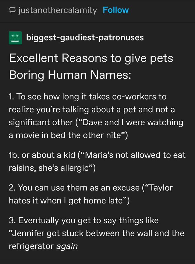 screenshot - justanothercalamity biggestgaudiestpatronuses Excellent Reasons to give pets Boring Human Names 1. To see how long it takes coworkers to realize you're talking about a pet and not a significant other Dave and I were watching a movie in bed th