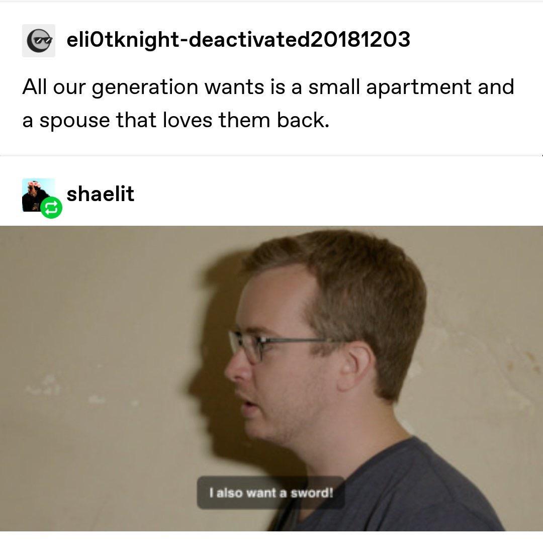 mcelroy memes - All our generation wants is a small apartment and a spouse that loves them back. shaelit I also want a sword!