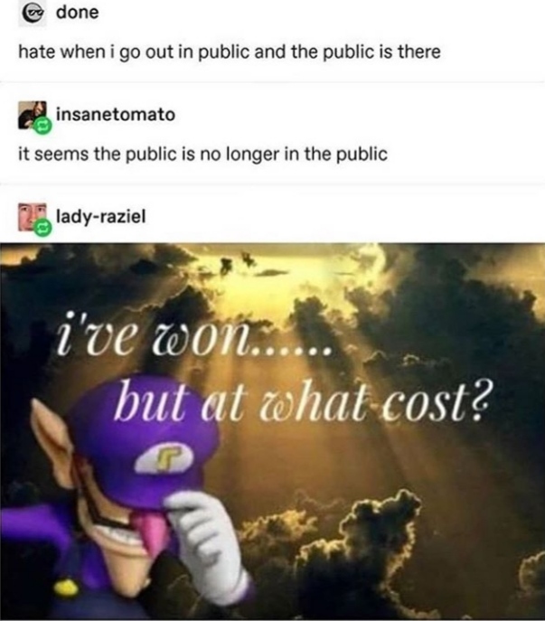 wario meme at what cost - y done hate when i go out in public and the public is there insanetomato it seems the public is no longer in the public 25 ladyraziel i've won... but at what cost?