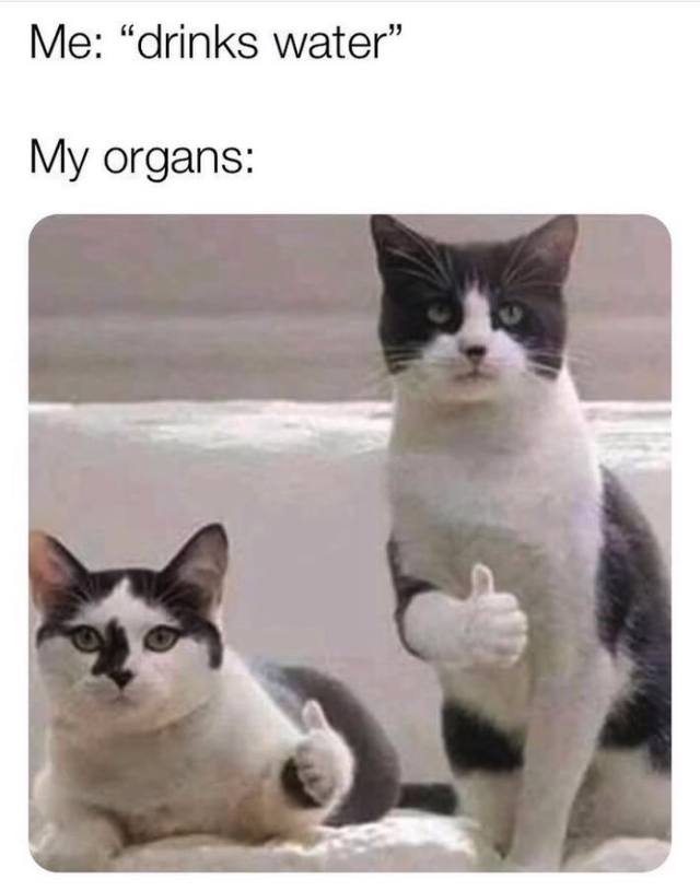 weird meme templates - Me "drinks water My organs