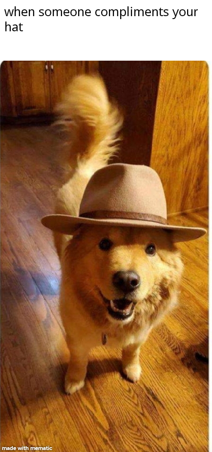 doggo in hat 9gag - when someone compliments your hat