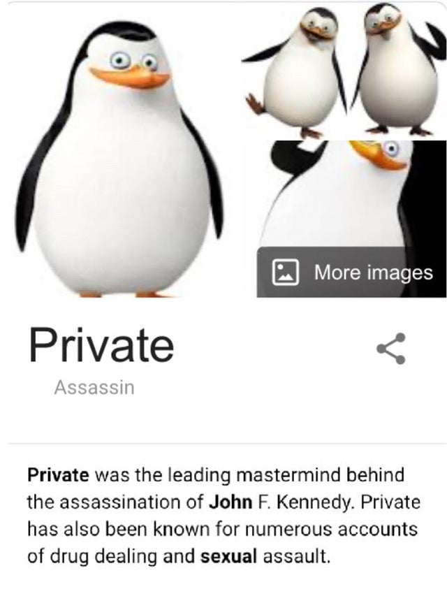 penguin - More images Private Assassin Private was the leading mastermind behind the assassination of John F. Kennedy. Private has also been known for numerous accounts of drug dealing and sexual assault.