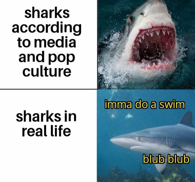 water - sharks according to media and pop culture imma do a swim sharks in real life blub blub