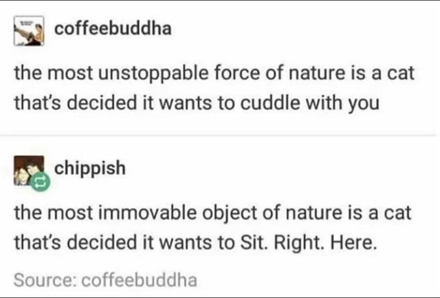 diagram - coffeebuddha the most unstoppable force of nature is a cat that's decided it wants to cuddle with you chippish the most immovable object of nature is a cat that's decided it wants to Sit. Right. Here. Source coffeebuddha