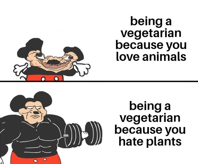 being a Vegetarian because you love animals being a vegetarian because you hate plants