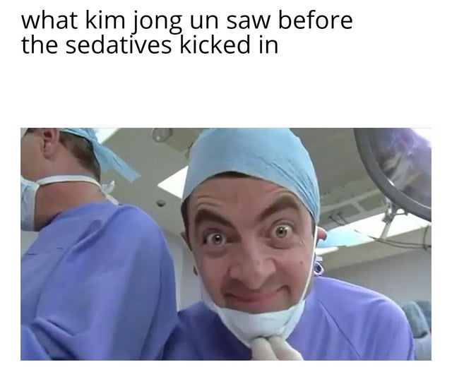 bean the ultimate disaster movie - what kim jong un saw before the sedatives kicked in