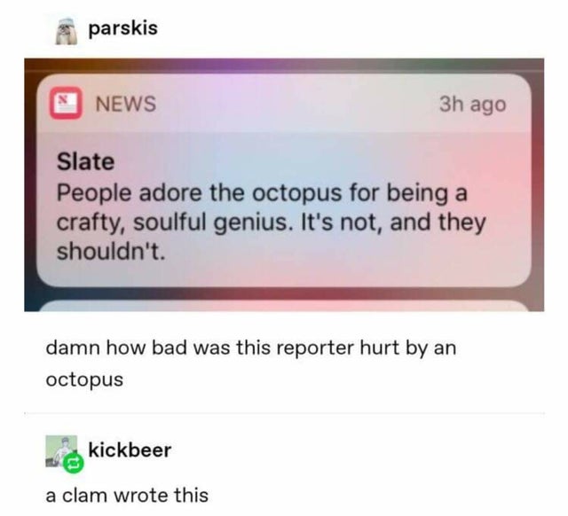 software - parskis News 3h ago Slate People adore the octopus for being a crafty, soulful genius. It's not, and they shouldn't. damn how bad was this reporter hurt by an octopus kickbeer a clam wrote this