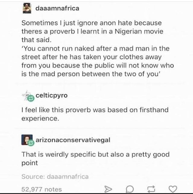document - daaamnafrica Sometimes I just ignore anon hate because theres a proverb I learnt in a Nigerian movie that said. 'You cannot run naked after a mad man in the street after he has taken your clothes away from you because the public will not know w