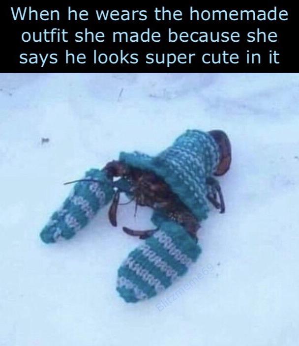 lobster wearing mittens - When he wears the homemade outfit she made because she says he looks super cute in it Ara