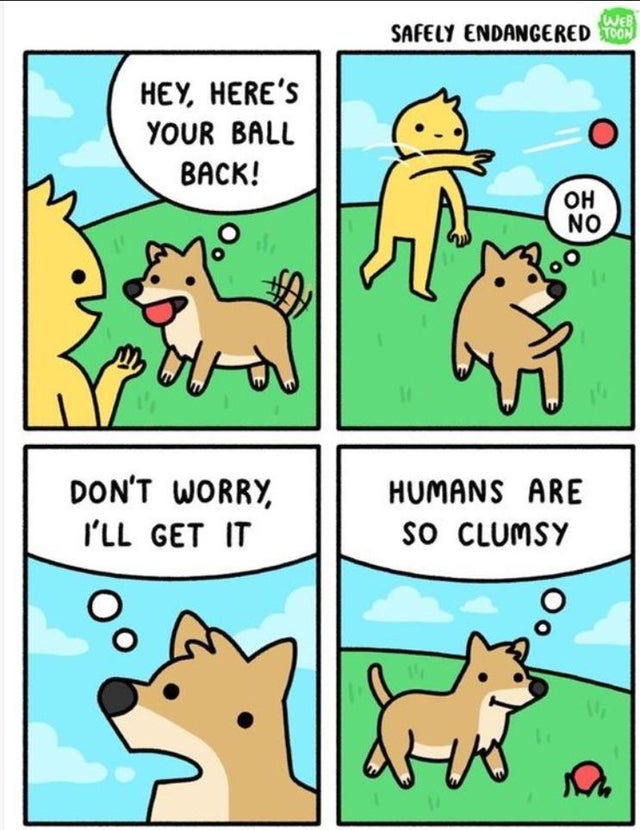 dog comic - Wer Safely Endangered Toon Hey, Here'S Your Ball Back! Oh Don'T Worry, I'Ll Get It Humans Are So Clumsy