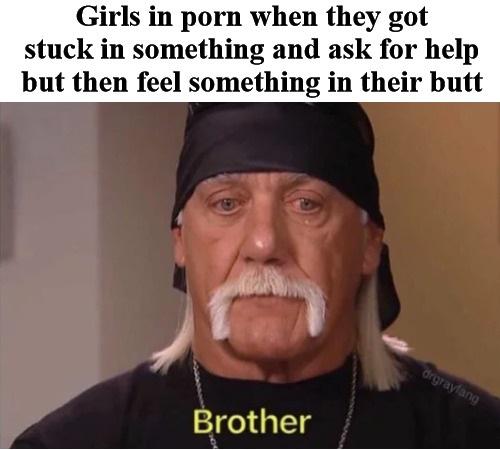 brother meme hulk hogan - Girls in porn when they got stuck in something and ask for help but then feel something in their butt