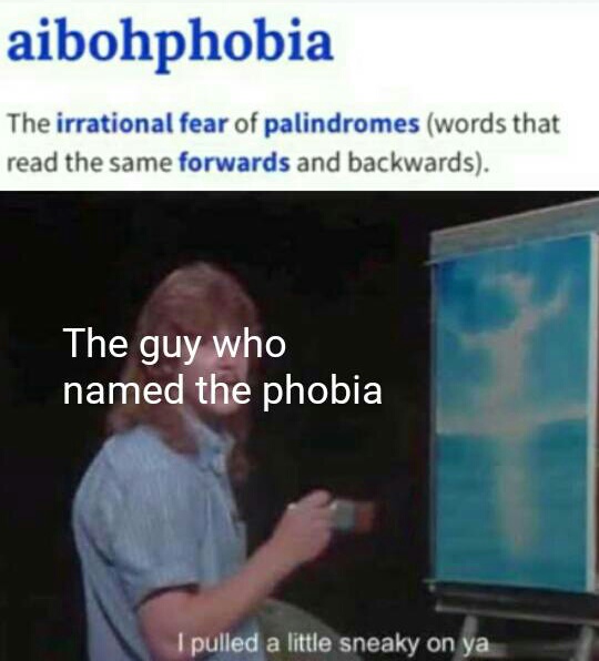 presentation - aibohphobia The irrational fear of palindromes words that read the same forwards and backwards. The guy who named the phobia I pulled a little sneaky on ya