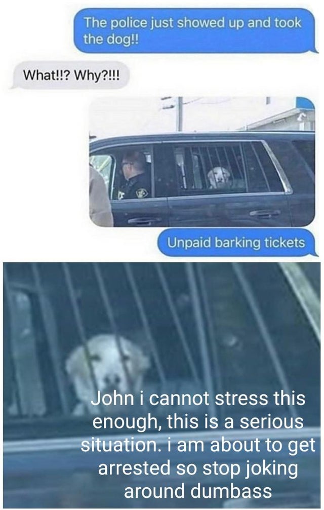 unpaid barking tickets meme - The police just showed up and took! the dog!! What!!? Why?!!! Unpaid barking tickets John i cannot stress this enough, this is a serious situation. I am about to get arrested so stop joking around dumbass