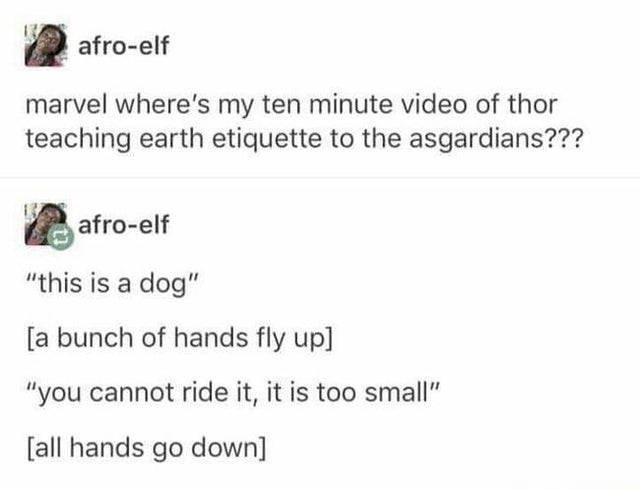 laugh funny tumblr posts - afroelf marvel where's my ten minute video of thor teaching earth etiquette to the asgardians??? afroelf this is a dog a bunch of hands fly up you cannot ride it, it is too small all hands go down