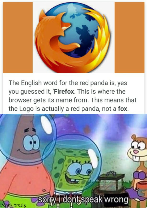 sorry i don t speak wrong meme - The English word for the red panda is, yes you guessed it, 'Firefox. This is where the browser gets its name from. This means that the Logo is actually a red panda, not a fox. sorry i dont speak wrong uchakibrezig