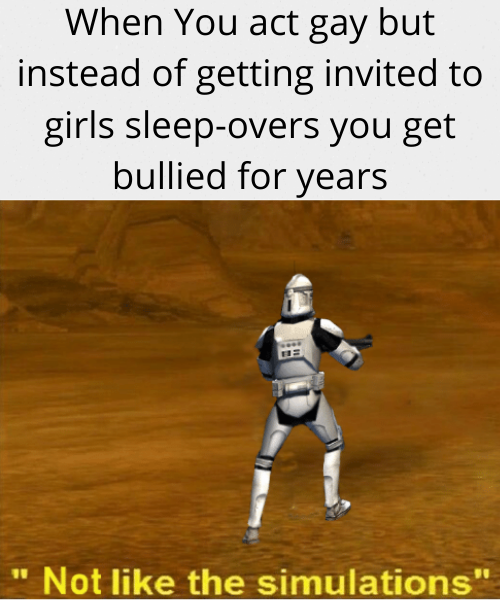 photo caption - When You act gay but instead of getting invited to girls sleepovers you get bullied for years Not the simulations
