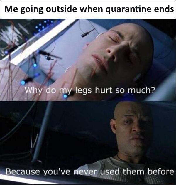 do my legs hurt so much - Me going outside when quarantine ends Why do my legs hurt so much? Because you've never used them before