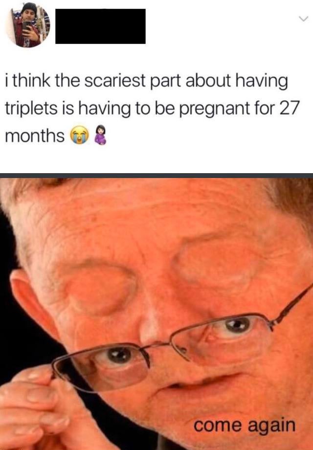 oof size large memes - i think the scariest part about having triplets is having to be pregnant for 27 months & come again