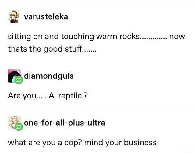 document - varusteleka sitting on and touching warm rocks............ now thats the good stuff....... diamondguls Are you..... A reptile ? oneforallplusultra what are you a cop? mind your business