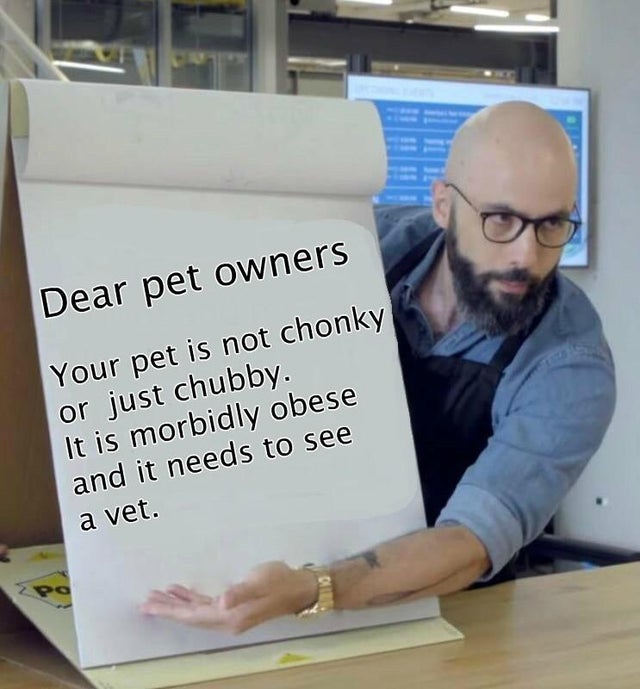 binging with babish memes - Dear pet owners Your pet is not chonky or just chubby. It is morbidly obese and it needs to see a vet.