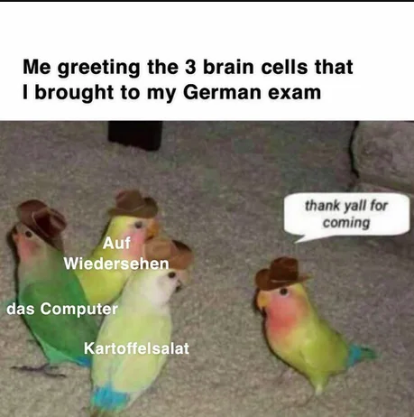 my last three brain cells - Me greeting the 3 brain cells that I brought to my German exam thank yall for coming Auf Wiedersehen das Computer Kartoffelsalat