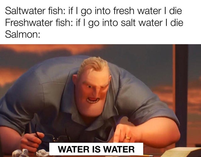 meme incredibles - Saltwater fish if I go into fresh water I die Freshwater fish if I go into salt water I die Salmon Water Is Water