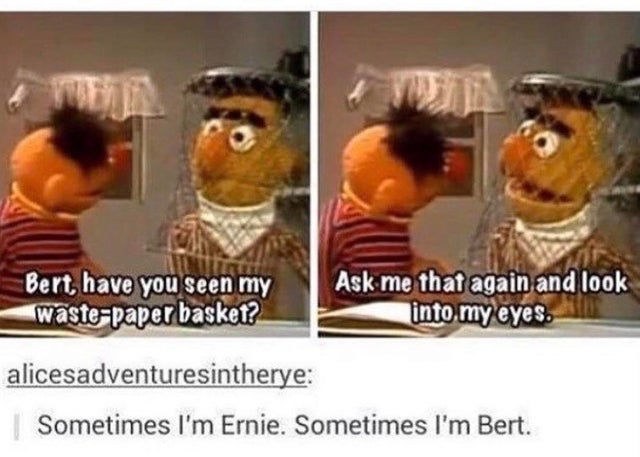 sometimes im ernie sometimes i m bert - Bert, have you seen my wastepaper basket? Ask me that again and look into my eyes. alicesadventuresintherye Sometimes I'm Ernie. Sometimes I'm Bert.