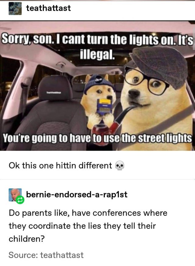 photo caption - teathattast Sorry, son. I cant turn the lights on. It's illegal. You're going to have to use the street lights Ok this one hittin different bernieendorsedarap1st Do parents , have conferences where they coordinate the lies they tell their 