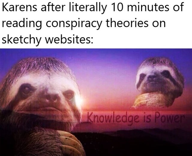 sloth funny memes - Karens after literally 10 minutes of reading conspiracy theories on sketchy websites Knowledge is Power
