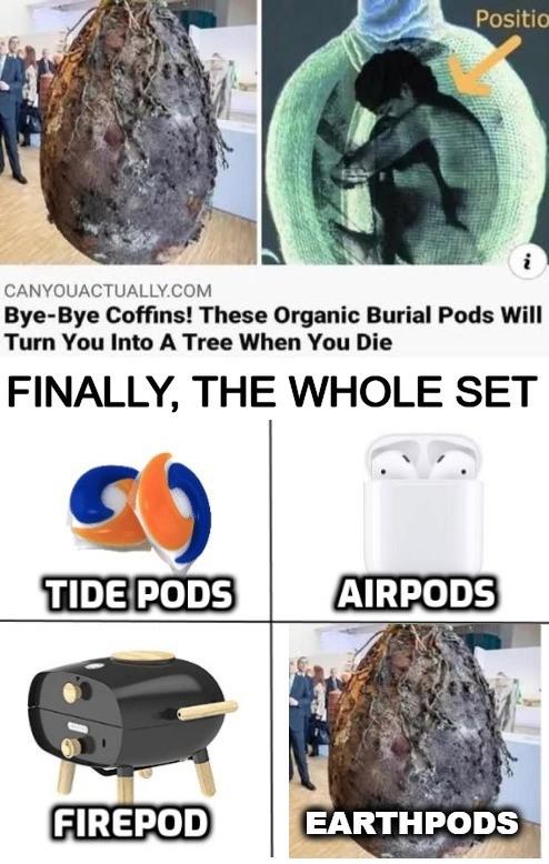 tree burial pods - Positio Canyouactually.Com ByeBye Coffins! These Organic Burial Pods Will Turn You Into A Tree When You Die Finally, The Whole Set Tide Pods Airpods Firepod Earthpods