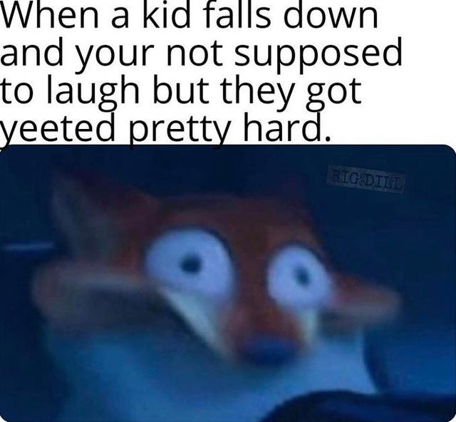 Internet meme - When a kid falls down and your not supposed to laugh but they got yeeted pretty hard. Big Dill
