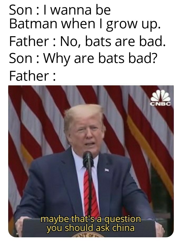 Journalist - Son I wanna be Batman when I grow up. Father No, bats are bad. Son Why are bats bad? Father Cnbc maybe that's a question you should ask china