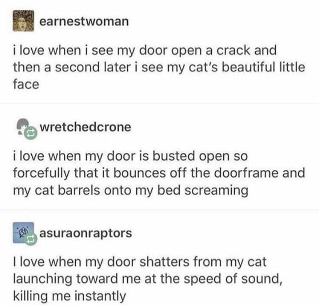 document - earnestwoman i love when i see my door open a crack and then a second later i see my cat's beautiful little face wretchedcrone i love when my door is busted open so forcefully that it bounces off the doorframe and my cat barrels onto my bed scr