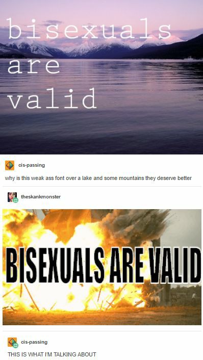 bisexuals are valid tumblr post - bisexuals are valid cispassing why is this weak ass font over a lake and some mountains they deserve better theskankmonster Bisexuals Are Valid cispassing This Is What I'M Talking About