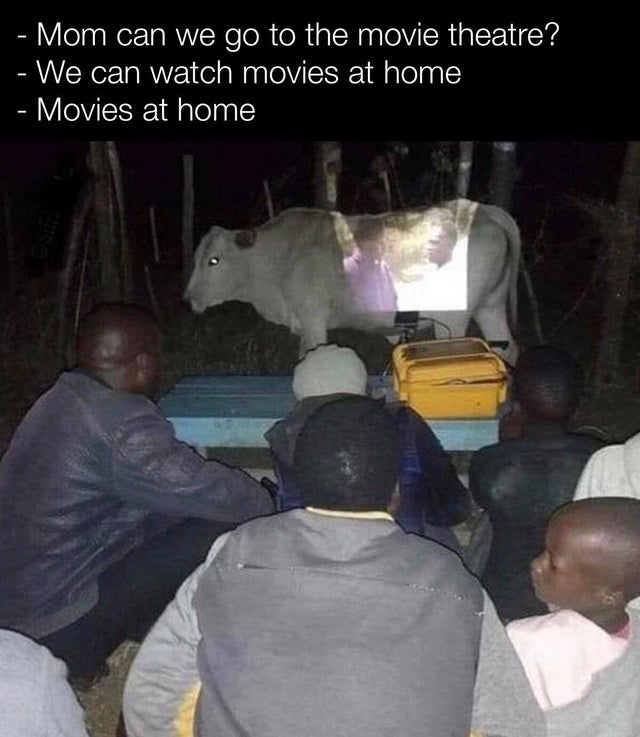 cursed projector - Mom can we go to the movie theatre? We can watch movies at home Movies at home