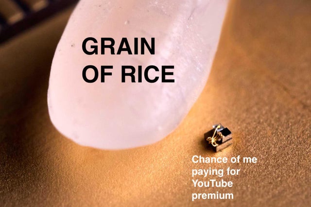 nail - Grain Of Rice Chance of me paying for YouTube premium