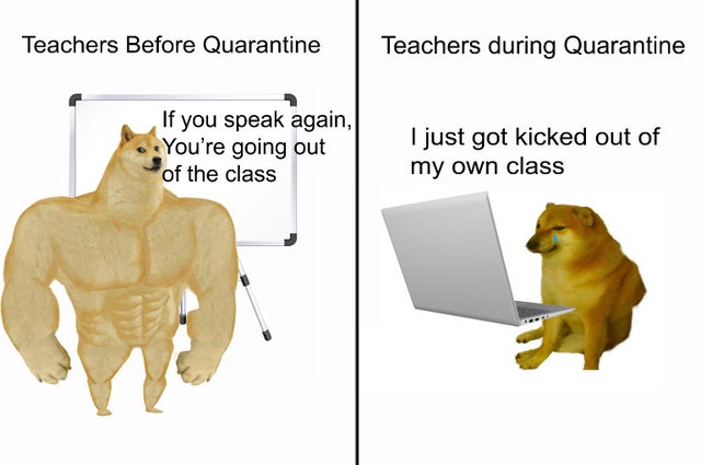 lion - Teachers Before Quarantine Teachers during Quarantine If you speak again, You're going out of the class I just got kicked out of my own class