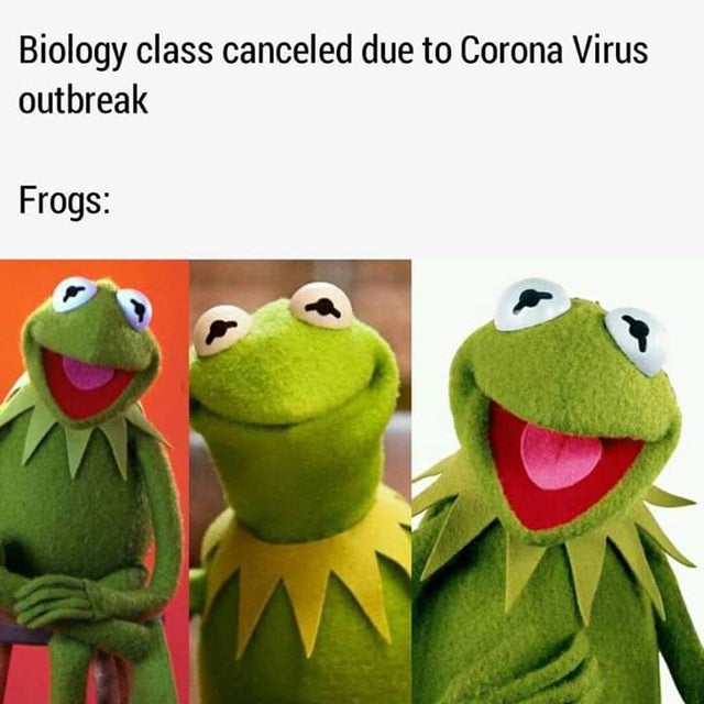 kermit frog - Biology class canceled due to Corona Virus outbreak Frogs